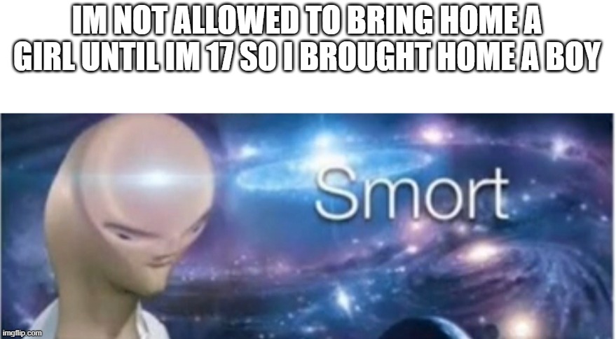 Meme man smort | IM NOT ALLOWED TO BRING HOME A GIRL UNTIL IM 17 SO I BROUGHT HOME A BOY | image tagged in meme man smort | made w/ Imgflip meme maker