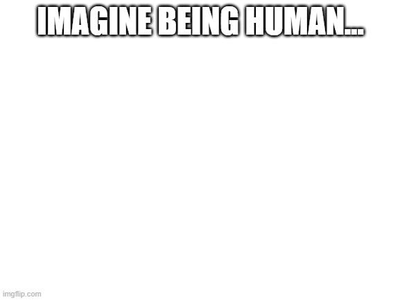 Blank White Template | IMAGINE BEING HUMAN... | image tagged in blank white template,lolihatemylife | made w/ Imgflip meme maker