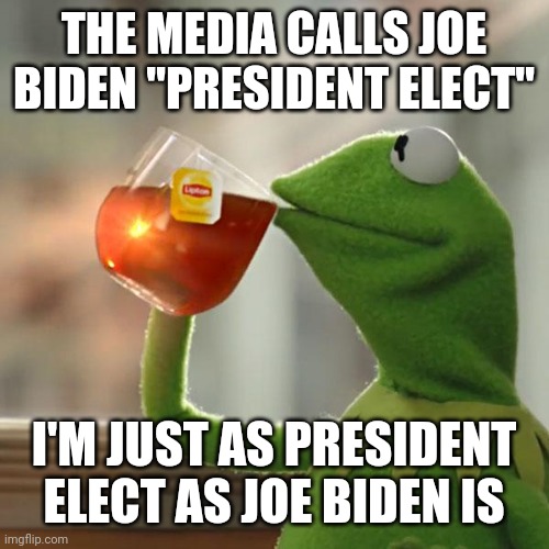 But That's None Of My Business | THE MEDIA CALLS JOE BIDEN "PRESIDENT ELECT"; I'M JUST AS PRESIDENT ELECT AS JOE BIDEN IS | image tagged in memes,but that's none of my business,kermit the frog | made w/ Imgflip meme maker