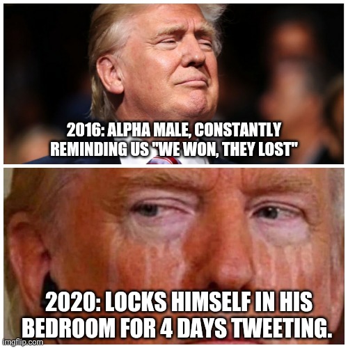 Beta. | 2016: ALPHA MALE, CONSTANTLY REMINDING US "WE WON, THEY LOST"; 2020: LOCKS HIMSELF IN HIS BEDROOM FOR 4 DAYS TWEETING. | image tagged in donald trump,election 2020 | made w/ Imgflip meme maker