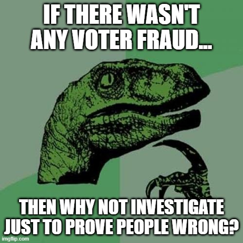 Makes You Wonder... | IF THERE WASN'T ANY VOTER FRAUD... THEN WHY NOT INVESTIGATE JUST TO PROVE PEOPLE WRONG? | image tagged in memes,philosoraptor | made w/ Imgflip meme maker