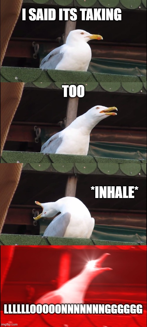 Inhaling Seagull Meme | I SAID ITS TAKING; TOO; *INHALE*; LLLLLLOOOOONNNNNNNGGGGGG | image tagged in memes,inhaling seagull | made w/ Imgflip meme maker