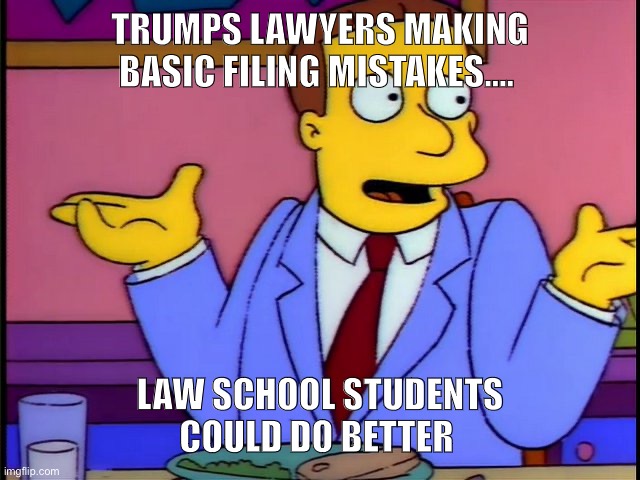 Trump lawyer | TRUMPS LAWYERS MAKING BASIC FILING MISTAKES.... LAW SCHOOL STUDENTS COULD DO BETTER | image tagged in lawyer,bad,loser,law school | made w/ Imgflip meme maker