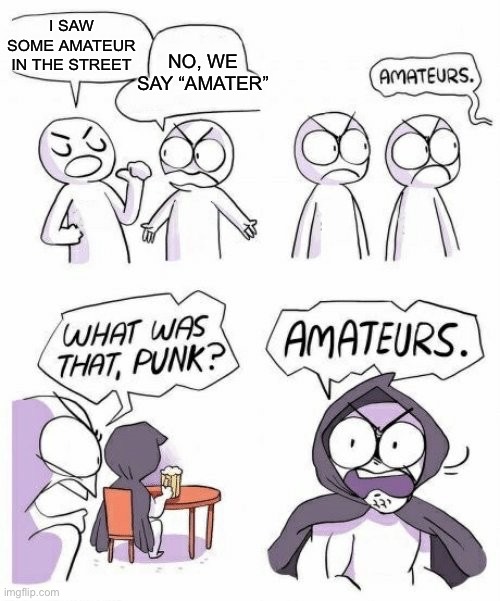 amateurs comic meme | I SAW SOME AMATEUR IN THE STREET; NO, WE SAY “AMATER” | image tagged in amateurs comic meme | made w/ Imgflip meme maker