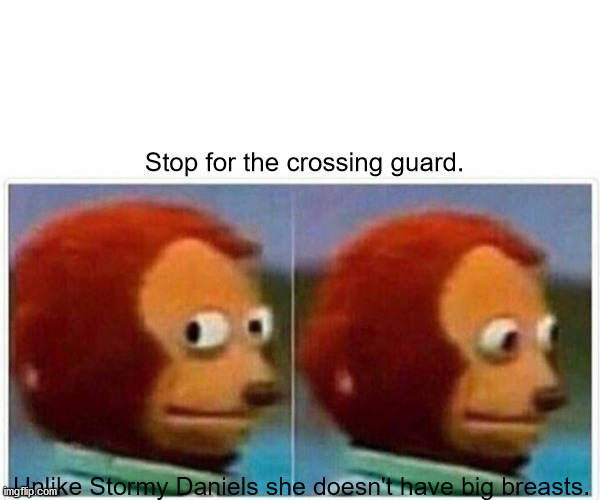 Monkey Puppet Meme | Stop for the crossing guard. Unlike Stormy Daniels she doesn't have big breasts. | image tagged in memes,monkey puppet | made w/ Imgflip meme maker
