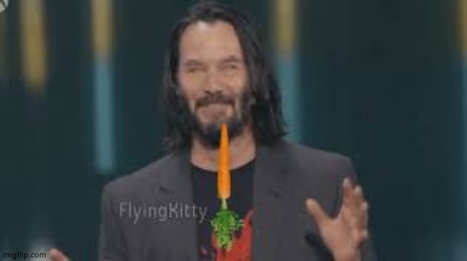 Keanu Reeves flyingkitty | image tagged in keanu reeves flyingkitty | made w/ Imgflip meme maker