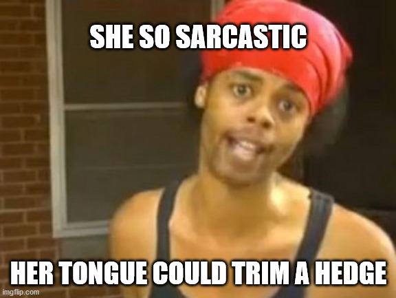Hide Yo Kids Hide Yo Wife | SHE SO SARCASTIC; HER TONGUE COULD TRIM A HEDGE | image tagged in memes,hide yo kids hide yo wife | made w/ Imgflip meme maker