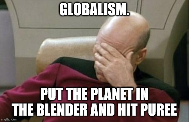 Captain Picard Facepalm |  GLOBALISM. PUT THE PLANET IN THE BLENDER AND HIT PUREE | image tagged in memes,captain picard facepalm | made w/ Imgflip meme maker
