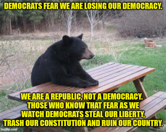 Democracy is a euphemism Democrats use for Socialism.  We have never been a Democracy so it shouldn't matter if we lose it. | DEMOCRATS FEAR WE ARE LOSING OUR DEMOCRACY. WE ARE A REPUBLIC, NOT A DEMOCRACY.  
THOSE WHO KNOW THAT FEAR AS WE WATCH DEMOCRATS STEAL OUR LIBERTY, TRASH OUR CONSTITUTION AND RUIN OUR COUNTRY. | image tagged in memes,democracy,republic,individual liberty | made w/ Imgflip meme maker
