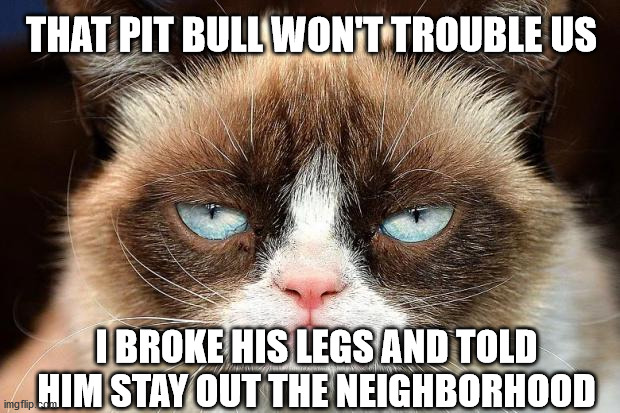 Grumpy Cat Not Amused | THAT PIT BULL WON'T TROUBLE US; I BROKE HIS LEGS AND TOLD HIM STAY OUT THE NEIGHBORHOOD | image tagged in memes,grumpy cat not amused,grumpy cat | made w/ Imgflip meme maker