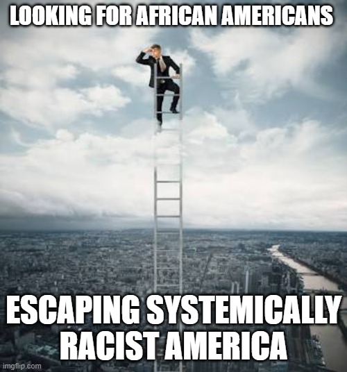 Searching for | LOOKING FOR AFRICAN AMERICANS; ESCAPING SYSTEMICALLY RACIST AMERICA | image tagged in searching for | made w/ Imgflip meme maker