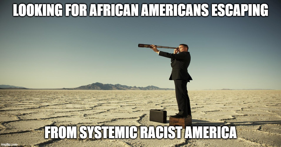 Searching motivation | LOOKING FOR AFRICAN AMERICANS ESCAPING; FROM SYSTEMIC RACIST AMERICA | image tagged in searching motivation | made w/ Imgflip meme maker