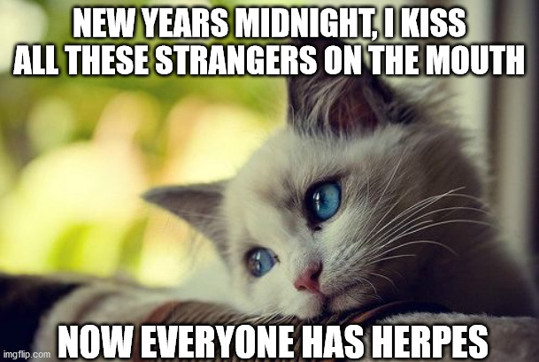 First World Problems Cat Meme | NEW YEARS MIDNIGHT, I KISS ALL THESE STRANGERS ON THE MOUTH; NOW EVERYONE HAS HERPES | image tagged in memes,first world problems cat | made w/ Imgflip meme maker