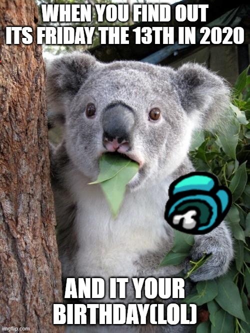 Friday 13/birthday | WHEN YOU FIND OUT ITS FRIDAY THE 13TH IN 2020; AND IT YOUR BIRTHDAY(LOL) | image tagged in memes,surprised koala,friday the 13th | made w/ Imgflip meme maker