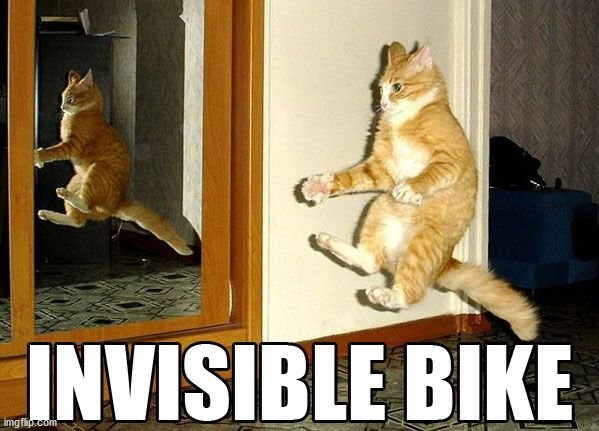 Majik cat | image tagged in cats,funny memes,invisible | made w/ Imgflip meme maker