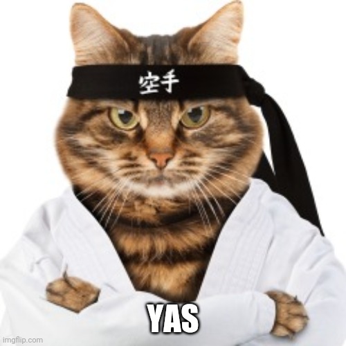 Karate cat | YAS | image tagged in karate cat | made w/ Imgflip meme maker