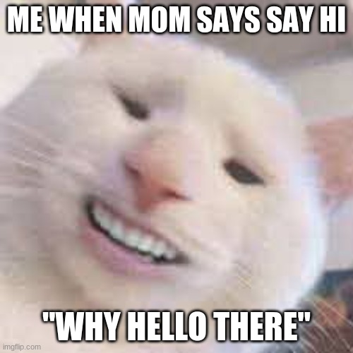 ME WHEN MOM SAYS SAY HI; "WHY HELLO THERE" | made w/ Imgflip meme maker