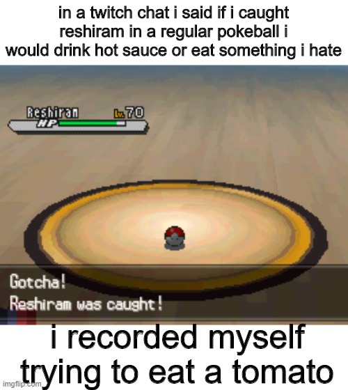 i'm still recovering | in a twitch chat i said if i caught reshiram in a regular pokeball i would drink hot sauce or eat something i hate; i recorded myself trying to eat a tomato | image tagged in pokemon | made w/ Imgflip meme maker