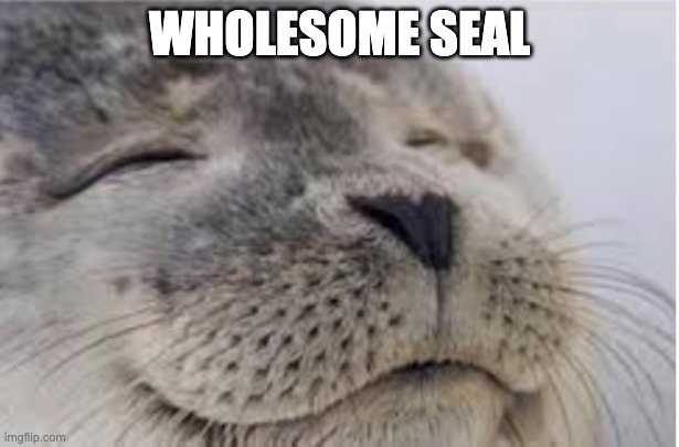 WHOLESOME SEAL | made w/ Imgflip meme maker
