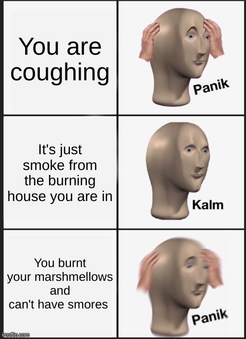 Panik Kalm Panik | You are coughing; It's just smoke from the burning house you are in; You burnt your marshmellows and can't have smores | image tagged in memes,panik kalm panik | made w/ Imgflip meme maker