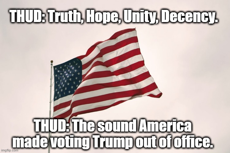 The sound is a THUD, the sound America made voting Trump out of office. | THUD: Truth, Hope, Unity, Decency. THUD: The sound America made voting Trump out of office. | image tagged in truth,hope,unity,decency,election 2020 | made w/ Imgflip meme maker
