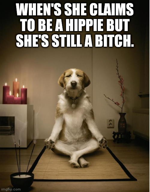 Bitch | WHEN'S SHE CLAIMS TO BE A HIPPIE BUT SHE'S STILL A BITCH. | image tagged in dog meditation funny | made w/ Imgflip meme maker