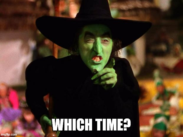 wicked witch  | WHICH TIME? | image tagged in wicked witch | made w/ Imgflip meme maker