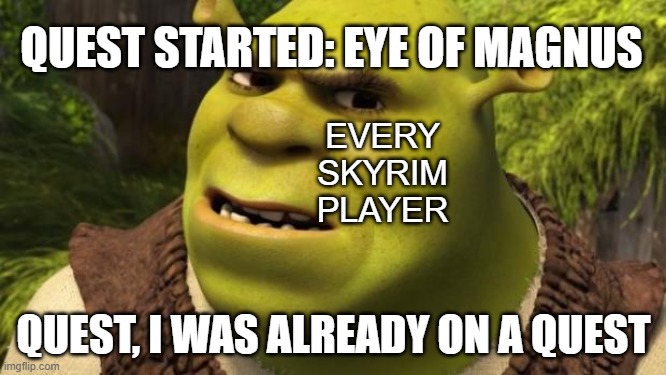 skyrim | QUEST STARTED: EYE OF MAGNUS; EVERY SKYRIM PLAYER; QUEST, I WAS ALREADY ON A QUEST | image tagged in shrek,skyrim,quest | made w/ Imgflip meme maker