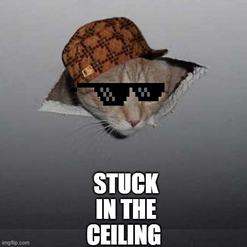 Ceiling Cat Meme | STUCK IN THE CEILING | image tagged in memes,ceiling cat | made w/ Imgflip meme maker