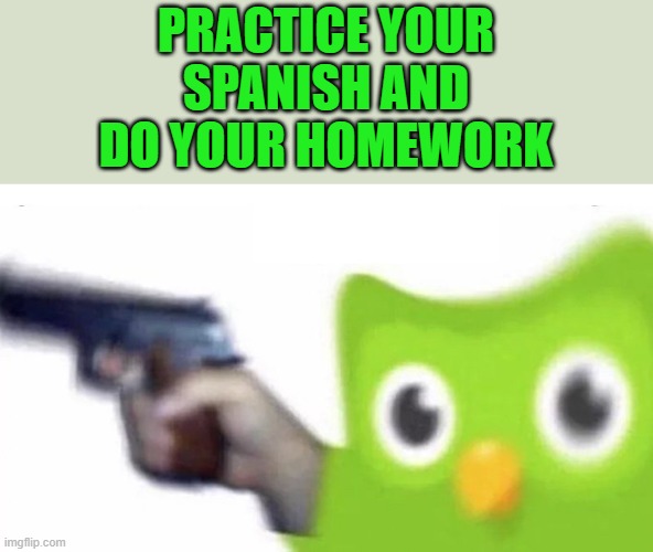 duolingo gun | PRACTICE YOUR SPANISH AND DO YOUR HOMEWORK | image tagged in duolingo gun | made w/ Imgflip meme maker
