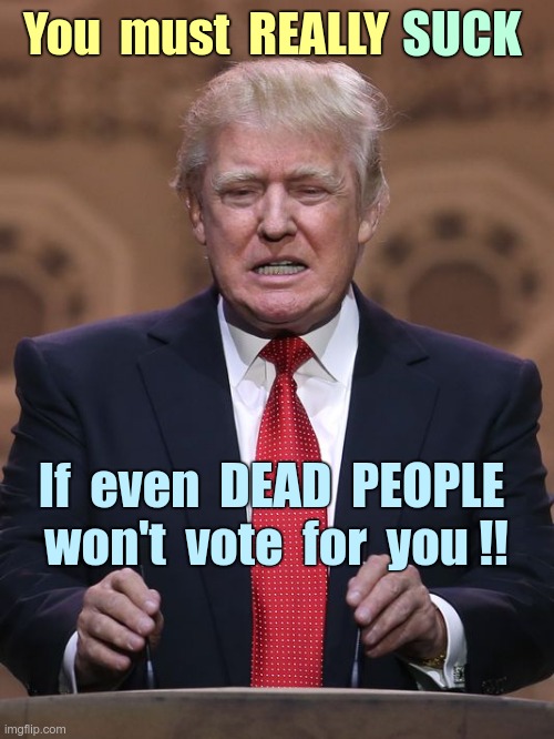 THERE'S your problem, Dude! | SUCK; You  must  REALLY; If  even  DEAD  PEOPLE  won't  vote  for  you !! | image tagged in donald trump,maga,election 2020,dead voters,rick75230,electoral college | made w/ Imgflip meme maker