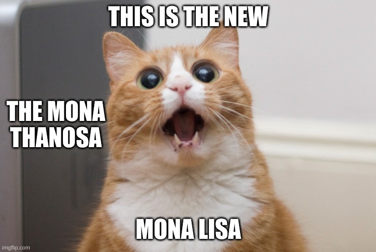 Amazed cat | THIS IS THE NEW MONA LISA THE MONA THANOSA | image tagged in amazed cat | made w/ Imgflip meme maker