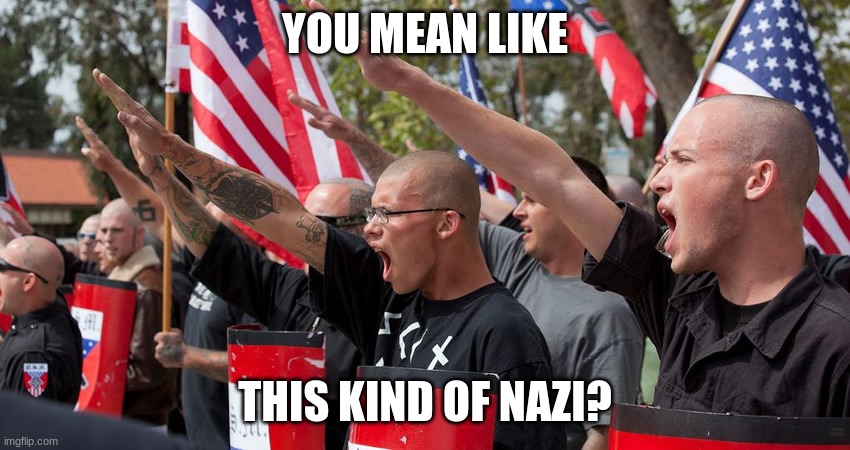 Neo Nazis | YOU MEAN LIKE THIS KIND OF NAZI? | image tagged in neo nazis | made w/ Imgflip meme maker