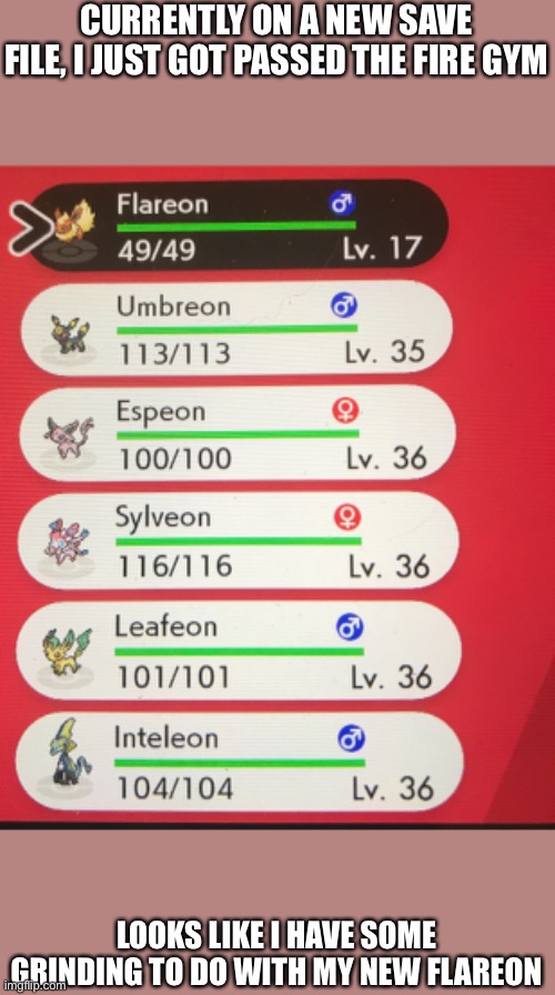 They must have upped the spawn of Eevee so I got four of them immediately at that area before Turffield | CURRENTLY ON A NEW SAVE FILE, I JUST GOT PASSED THE FIRE GYM; LOOKS LIKE I HAVE SOME GRINDING TO DO WITH MY NEW FLAREON | made w/ Imgflip meme maker