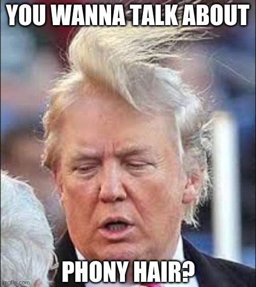 Trump Hair | YOU WANNA TALK ABOUT PHONY HAIR? | image tagged in trump hair | made w/ Imgflip meme maker