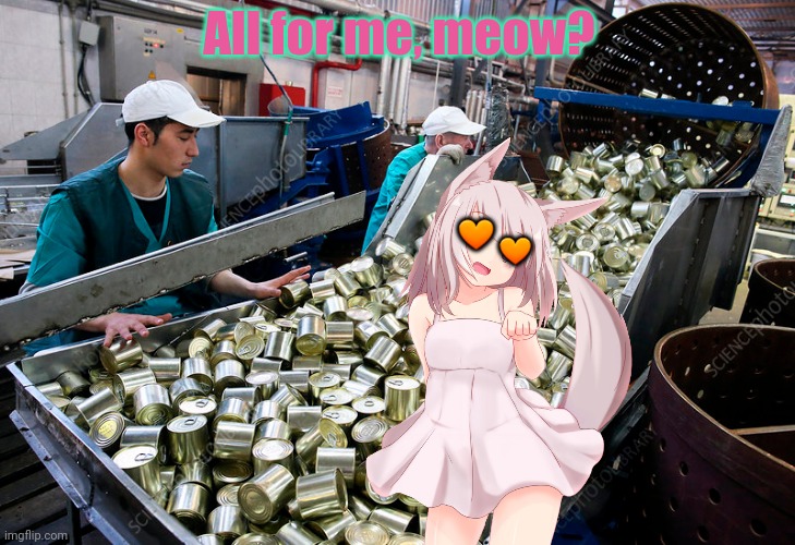 Neko at the tuna factory | All for me, meow? 🧡; 🧡 | image tagged in neko,cat,anime girl,tuna,factory,anime | made w/ Imgflip meme maker