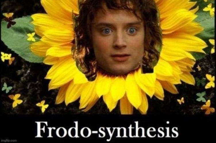 FRODO SYNTHESIS | image tagged in frodo,synthesis,idk,lord of the rings,lotr,stupd | made w/ Imgflip meme maker
