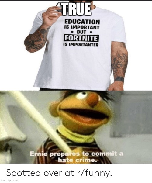 TRUE | image tagged in ernie prepares to commit a hate crime | made w/ Imgflip meme maker