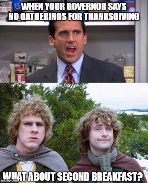 No meetings for TG! | WHEN YOUR GOVERNOR SAYS NO GATHERINGS FOR THANKSGIVING; WHAT ABOUT SECOND BREAKFAST? | image tagged in i declare michael scott,second breakfast | made w/ Imgflip meme maker