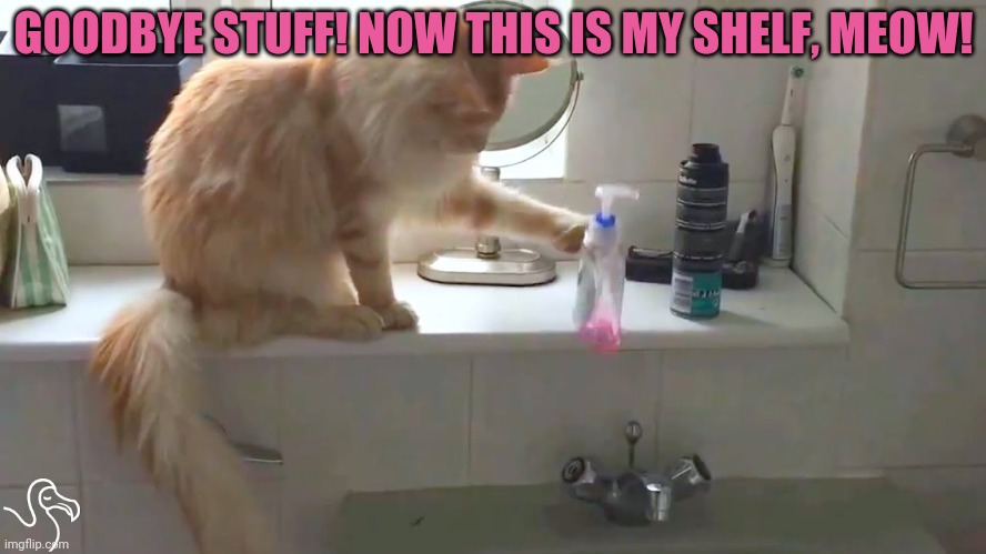 GOODBYE STUFF! NOW THIS IS MY SHELF, MEOW! | made w/ Imgflip meme maker