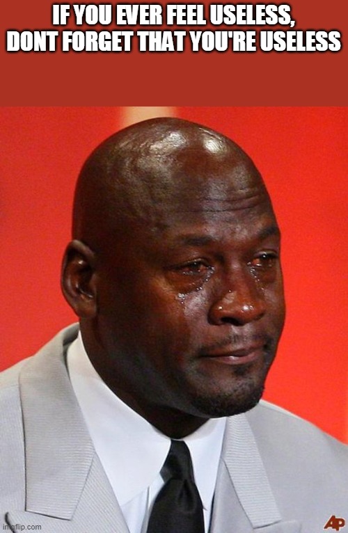 Crying Jordan | IF YOU EVER FEEL USELESS, DONT FORGET THAT YOU'RE USELESS | image tagged in crying jordan | made w/ Imgflip meme maker