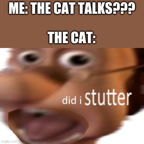 did i? | ME: THE CAT TALKS??? THE CAT: | image tagged in did i stutter | made w/ Imgflip meme maker