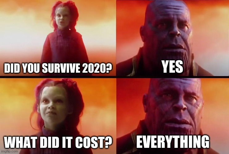 what did it? | DID YOU SURVIVE 2020? YES; WHAT DID IT COST? EVERYTHING | image tagged in thanos what did it cost | made w/ Imgflip meme maker