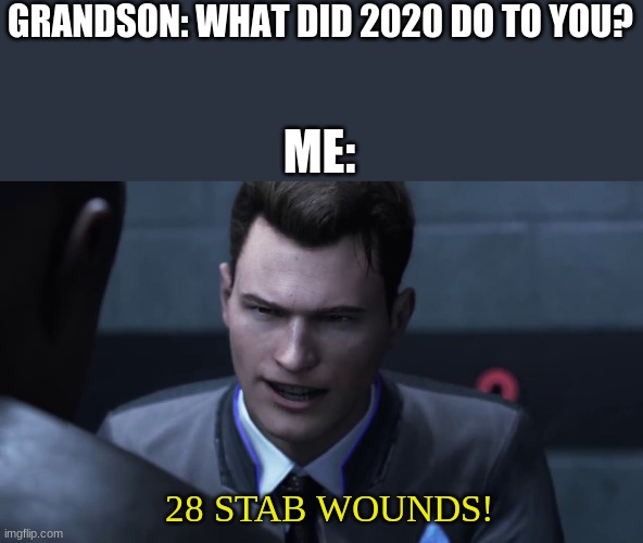 28 stab wounds. | GRANDSON: WHAT DID 2020 DO TO YOU? ME:; 28 STAB WOUNDS! | image tagged in 28 stab wounds | made w/ Imgflip meme maker