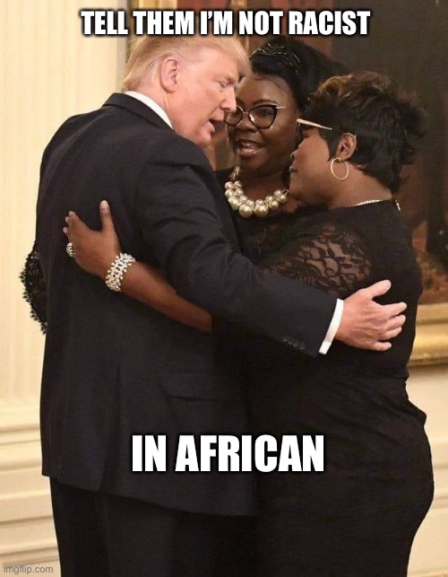 Not racist | TELL THEM I’M NOT RACIST; IN AFRICAN | image tagged in donald trump,lame | made w/ Imgflip meme maker