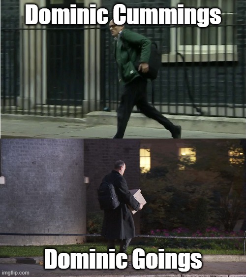 Dominic Cummings and Goings | Dominic Cummings; Dominic Goings | image tagged in dominic cummings | made w/ Imgflip meme maker