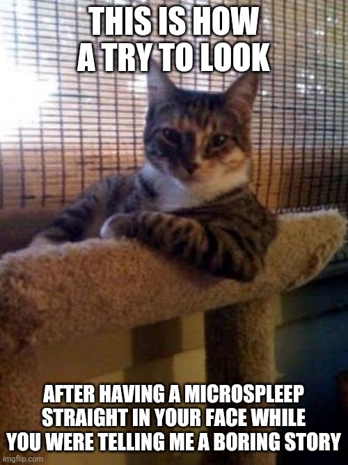 The Most Interesting Cat In The World | THIS IS HOW A TRY TO LOOK; AFTER HAVING A MICROSPLEEP STRAIGHT IN YOUR FACE WHILE YOU WERE TELLING ME A BORING STORY | image tagged in memes,the most interesting cat in the world | made w/ Imgflip meme maker