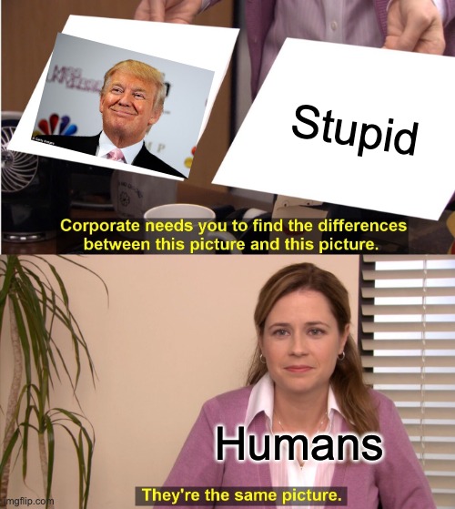 Trumpp | Stupid; Humans | image tagged in memes,they're the same picture | made w/ Imgflip meme maker