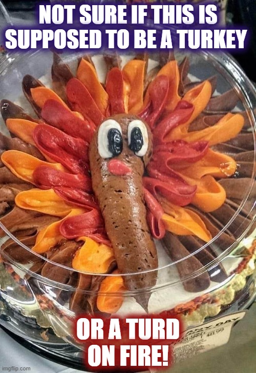 Thanksgiving fire turd | NOT SURE IF THIS IS SUPPOSED TO BE A TURKEY; OR A TURD ON FIRE! | image tagged in thanksgiving,turkey,turd,poop,fire | made w/ Imgflip meme maker