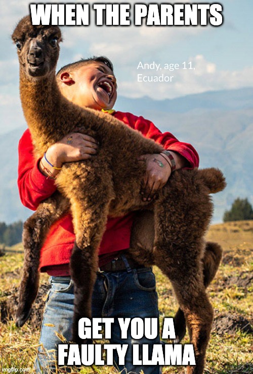 The boy with the llama | WHEN THE PARENTS; GET YOU A FAULTY LLAMA | image tagged in llama | made w/ Imgflip meme maker